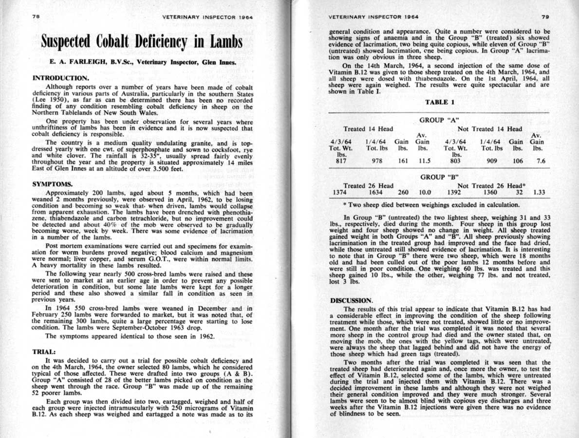 1964 Page 78 79